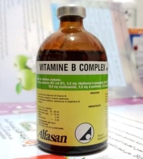 Al-Qahoom Stores | Veterinary medicines Al-Qahoom Stores | Veterinary medicines